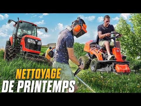 Tonte de moutons [NOUVELLE-ZELANDE]