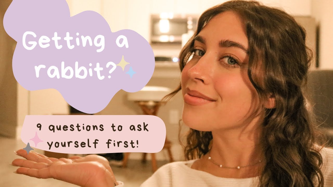 Should I Get a Rabbit? | 9 Questions to Ask Yourself Before Getting a ...