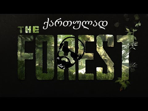 The Forest ანრისთან ერთად / კატანის ძიებაში (ნაწილი 5)