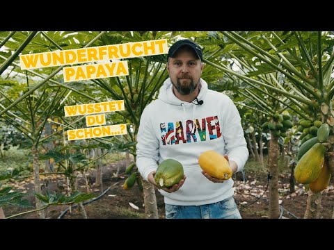 Tropenhaus Kleintettau Ãffnungszeiten