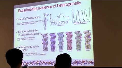 Multi-protein Complexes
