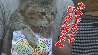 【猫のオモチャ】カシャカシャびょんびょん買っちゃった♪