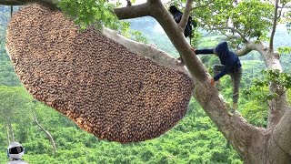 картинка: Вы Должны Это Увидеть! Случаи с Животными Снятые на Камеру