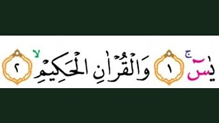 Belajar Mudah Ngaji Tajwid Quran Surah Yasin Ayat 11-14 dengan Praktis.
