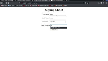 IT333 Final Project   S1T4 GET Method Data Entry & Wireshark Capture