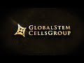 Stem cells group corporate 2020