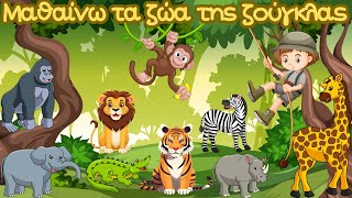 Μαθαίνω τα ζώα της ζούγκλας!!! | Παιδικά Μαγικά Ταξίδια | Εκπαιδευτικό βίντεο