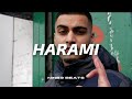 Free indian bollywood type trap beat  harami  bollywood type beat  nine9 beats