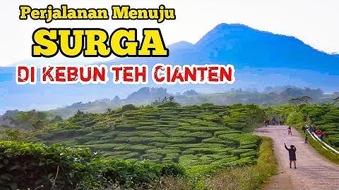 Perjalanan indah Menuju KEBUN TEH CIANTEN Perbatasan BOGOR - SUKABUMI