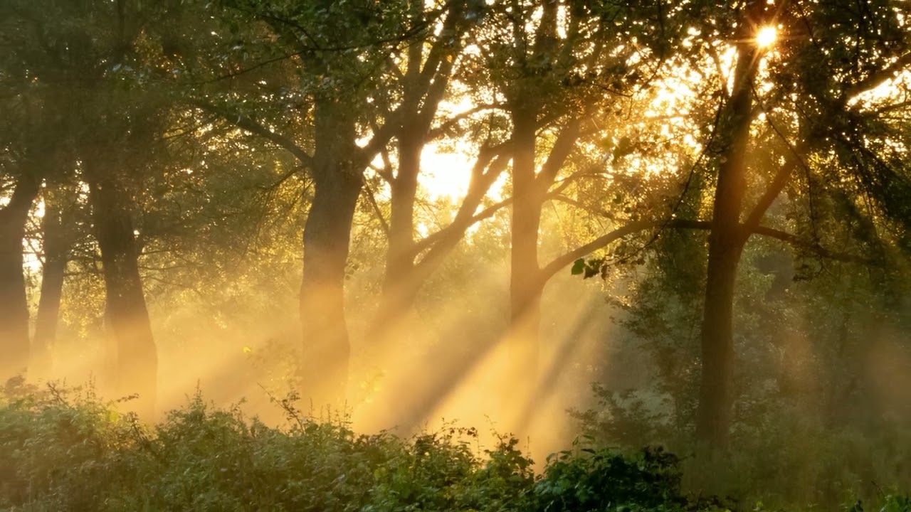 Poetic Images During an Early Morning Bike Ride on August 28, 2024