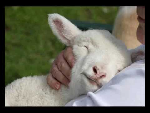 Tout Près De Ton Coeur Dans Tes Bras D'amour JESUS !