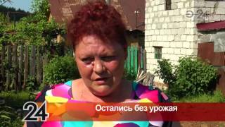В Казани затопило садовые участки на двух улицах Кировского района В Казани затопило садовые участки на двух улицах Кировского района