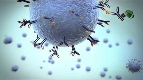 Simoa principle animation