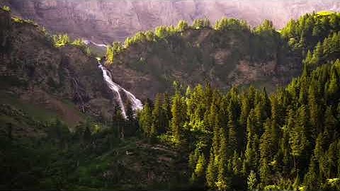 تلاوة خيالية لسورة فصلت للشيخ ابو بكر الشاطري 😍