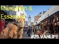 29 vanlife  chaos in marrakesh  essaouira