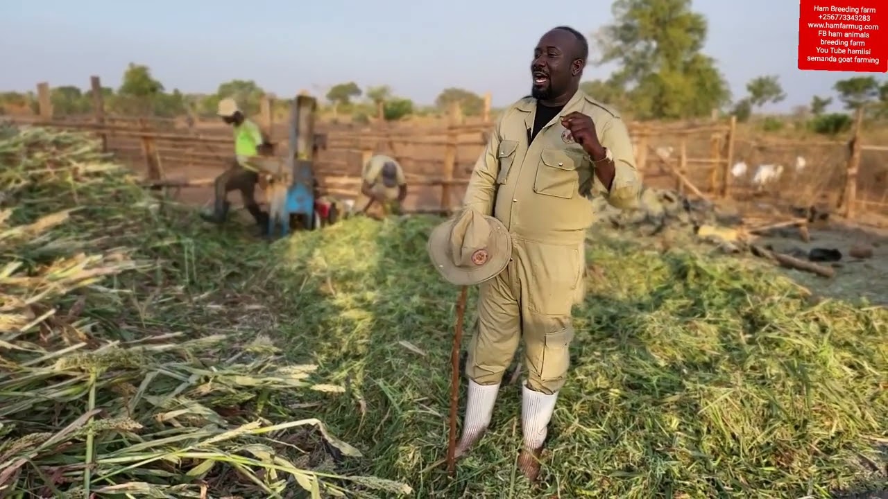 know  the best requirement in doing goat farming as a business (nutrition )