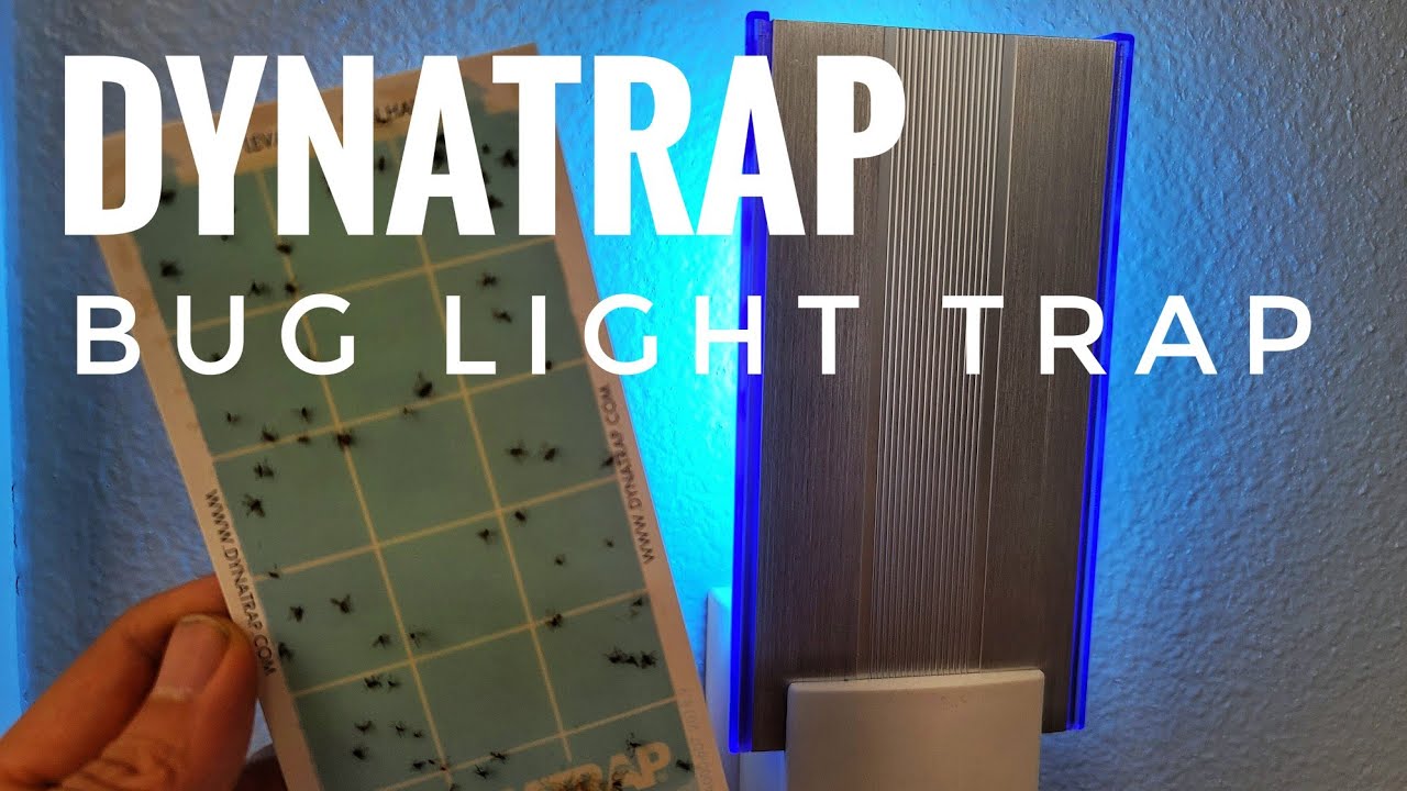 Dynatrap DT3009W Flylight Indoor Insect Trap AtraktaGlo