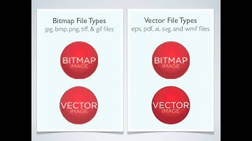File Types in Bitmap & Vector Graphics