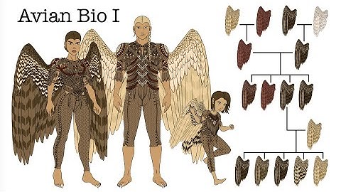Worldbuilding | Avian-Human Biology pt 1: Introduction to Qyaalyon and a few revisions