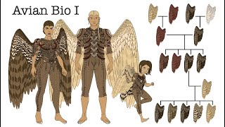 Worldbuilding | Avian-Human Biology pt 1: Introduction to Qyaalyon and a few revisions