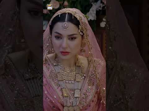 لا تلمسني أنا أخجل رفيق دربي