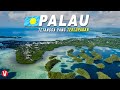 Negara Tetangga Indonesia yang Jarang diketahui, Inilah Fakta dan Sejarah Palau
