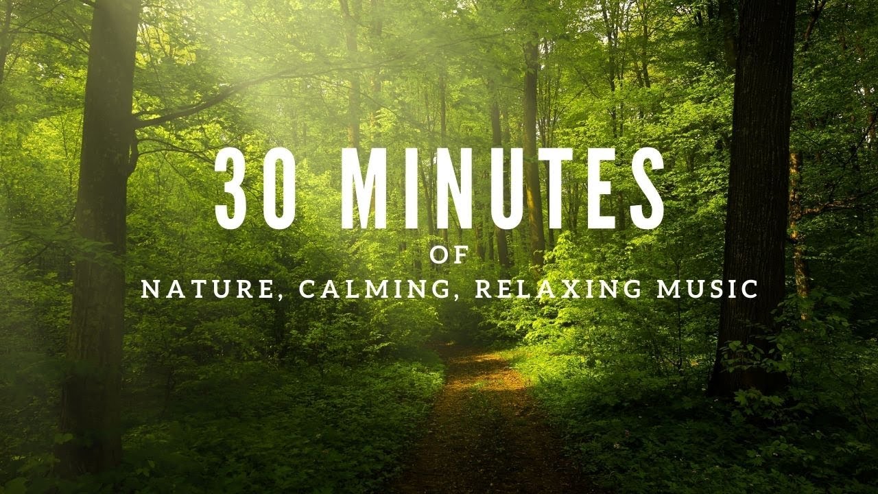 30 Minutes Of Relaxing Music Calm Music Nature Music Yoga Meditation Youtube
