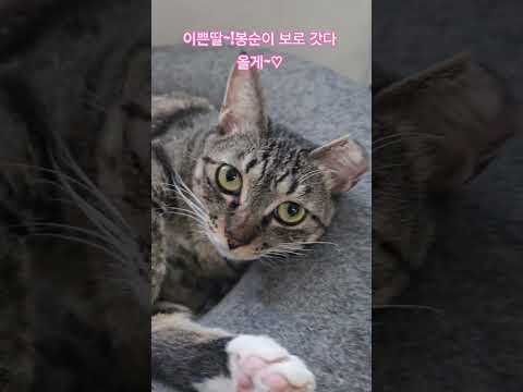 우리 딸 #햇살 #휴일 #부산강서구 #구독 #좋아요 #감사합니다