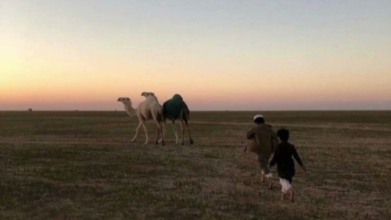 تِلاوة آسِرةٌ لِسورة النِّساء | عبدالرحمن الماجد