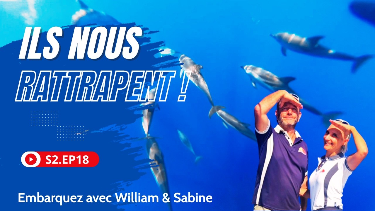 ⁣GRÈCE | ✨🤩 ON SUIT LES DAUPHINS SOUS L'EAU + 3 ESCALES DU GOLFE DE CORINTHE