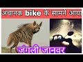 रात के समय जंगल में अचानक से bike के सामने आया जरख👹फिर हुआ कुछ ऐसा #infotech #jangali janwar