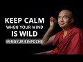 Keep calm when your mind is wild  with yongey mingyur rinpoche