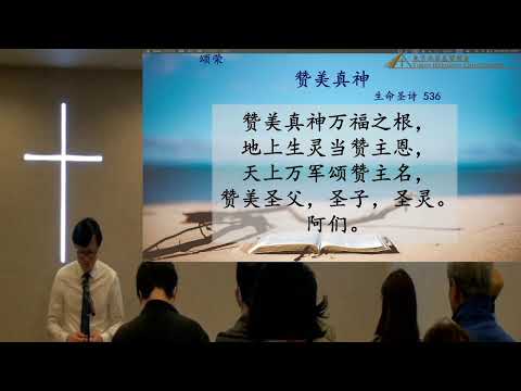 珍贵的献上
