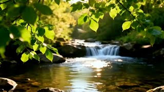 RELEKSASI! Pengantar tidur,penenang pikiran,suara burung,hembusan angin,suara air mengalir