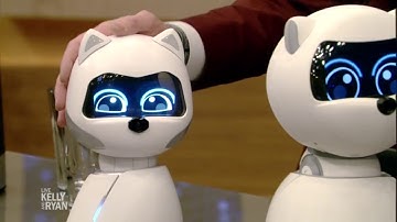 Zoetic Kiki Robot Kelly&Ryan Show