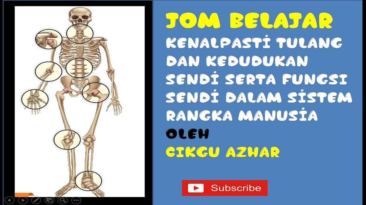 Sains Tahun 5 Sistem Rangka Manusia Kenali Tulang Dan Kedudukan Sendi Serta Fungsi Sendi Manusia Youtube