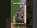 | Watch Till The End | What should I make next? | Pixel Art |