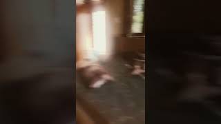 sound effect 🤣🤣 साउंड इफेक्ट)🤣🤣#viral