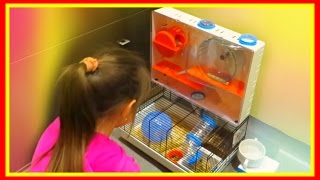 Хомяк играет с ребёнком #животные #Хомяки Хомяк играет с ребёнком #животные #Хомяки