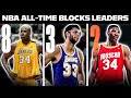 NBA Top 10 Blocks Leaders Of All Time 