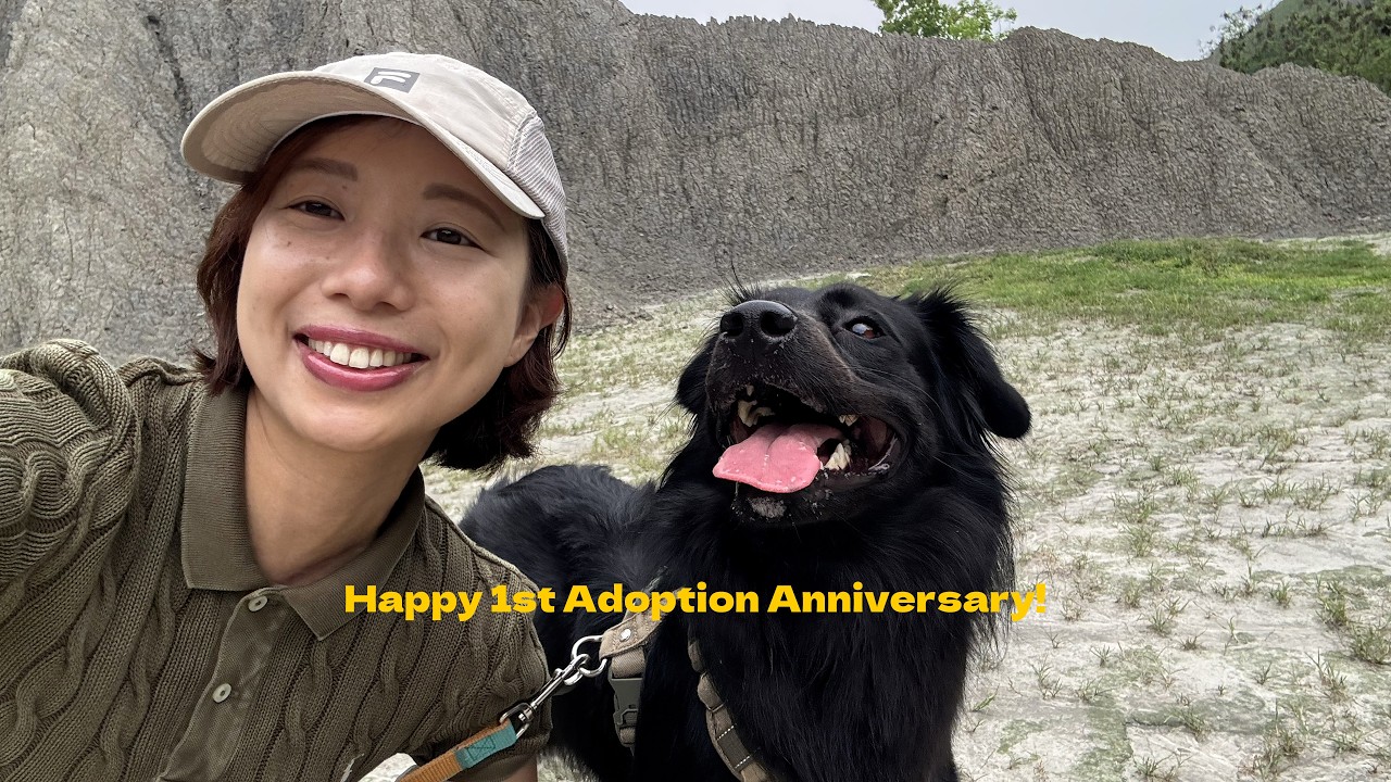 慶祝領養小狗一週年（做了蛋糕、也首次去外縣市郊遊） Happy 1st Adoption Anniversary! 縮圖