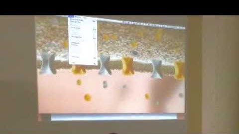 LAB Talk: Nadja Oertelt and MCB80X Fundamentals of Neuroscience