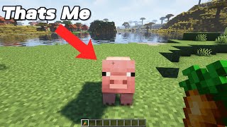 Minecraft But I Can MORPH!