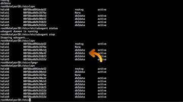 Actifio DB2 on AIX 7