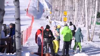 Программа «Выходной» СТС-Магнитогорск от 27.01.2015 г. Программа «Выходной» СТС-Магнитогорск от 27.01.2015 г.