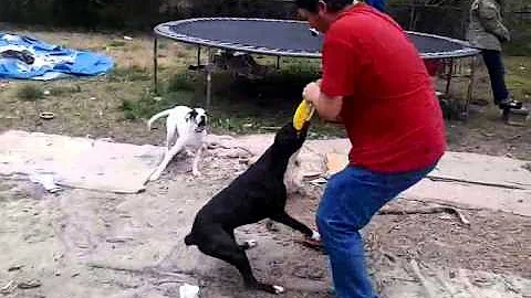 That's mine