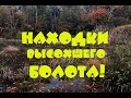 ПО ВЫСОХШЕМУ БОЛОТУ!!! Охота за сокровищами!!!