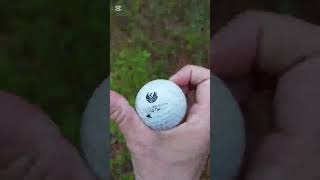 Golf Ball Hunting #golfball #hunting #hunters #lostandfound #golfballs #golf