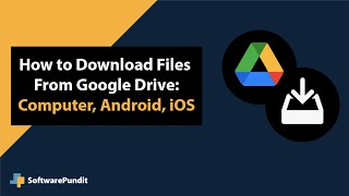 How to Download Files From Google Drive (Computer, Android, iOS)