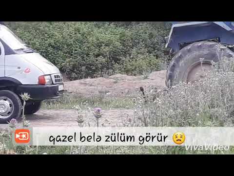 Qazel belə zülüm görün 😣